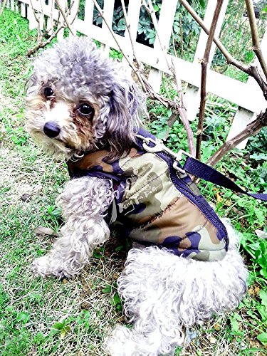 Marupet Winter Waterproof Windproof Vest Coat For Cold Weather - Warm Jacket For Small Medium Dogs (Not Suitable For Big Dogs) H