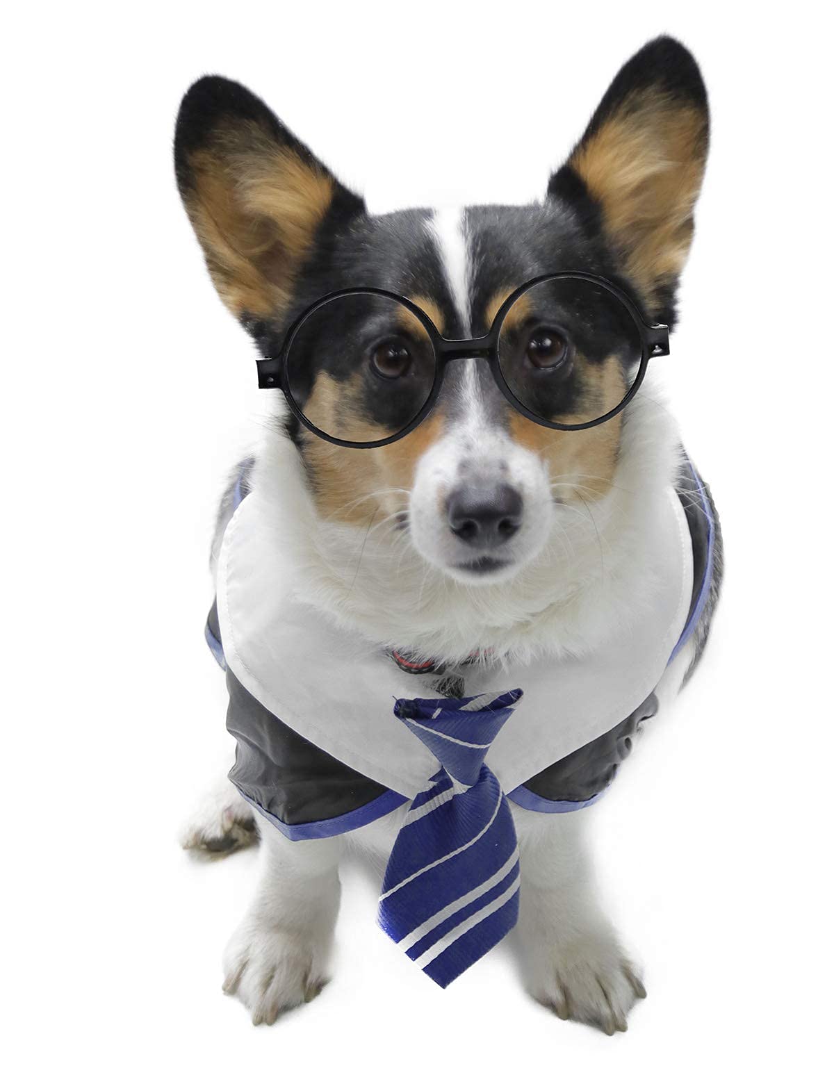 Impoosy Pet Halloween Dog Shirts Funny Cat Wizard Costume Cute Apparel Soft Clothes With Glasses (Small,Neck:12')