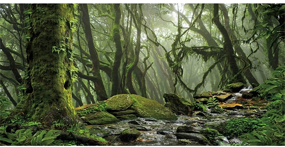 Awert Foggy Forest Terrarium Background Stream Green Huge Tree Reptile Habitat Background Tropical Rainforest Aquarium Backgroun