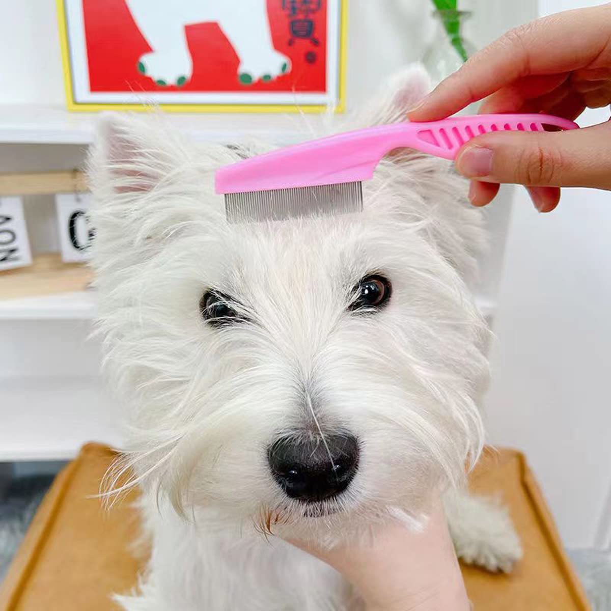 Flea Comb Lice Comb Cat Comb Dog Comb Pet Grooming Combs Tear Stain Remover Comb Remove Mucus Crust 2-In-1 Metal Round Smooth Teeth Comb Remove Floating Hair Tangles Dander (Pink)