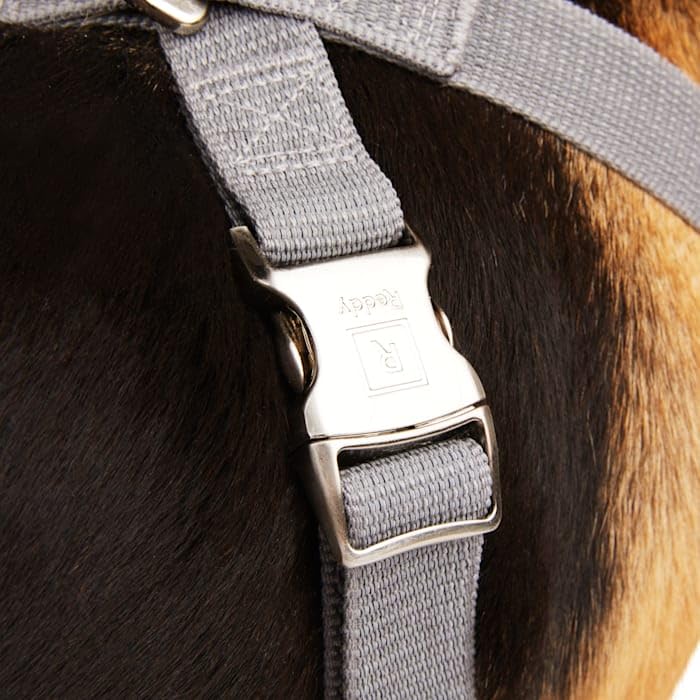Reddy Grey Reflective Dog Harness Large