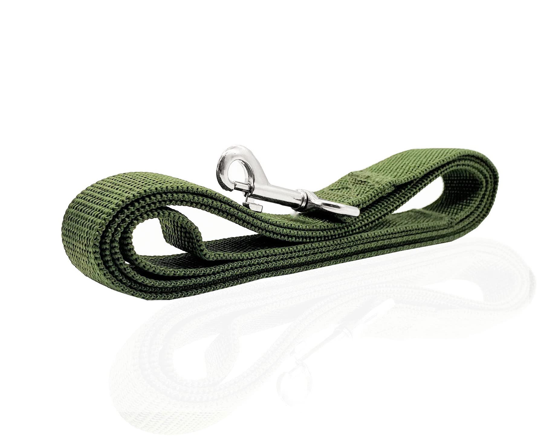 Nylon Dog Leash 4 Ft 5 Feet 6 Foot Long, Walking Training Dog Leashes For Medium Large Dogs, 1 Inch Wide (1 X 5 Ft, Green)
