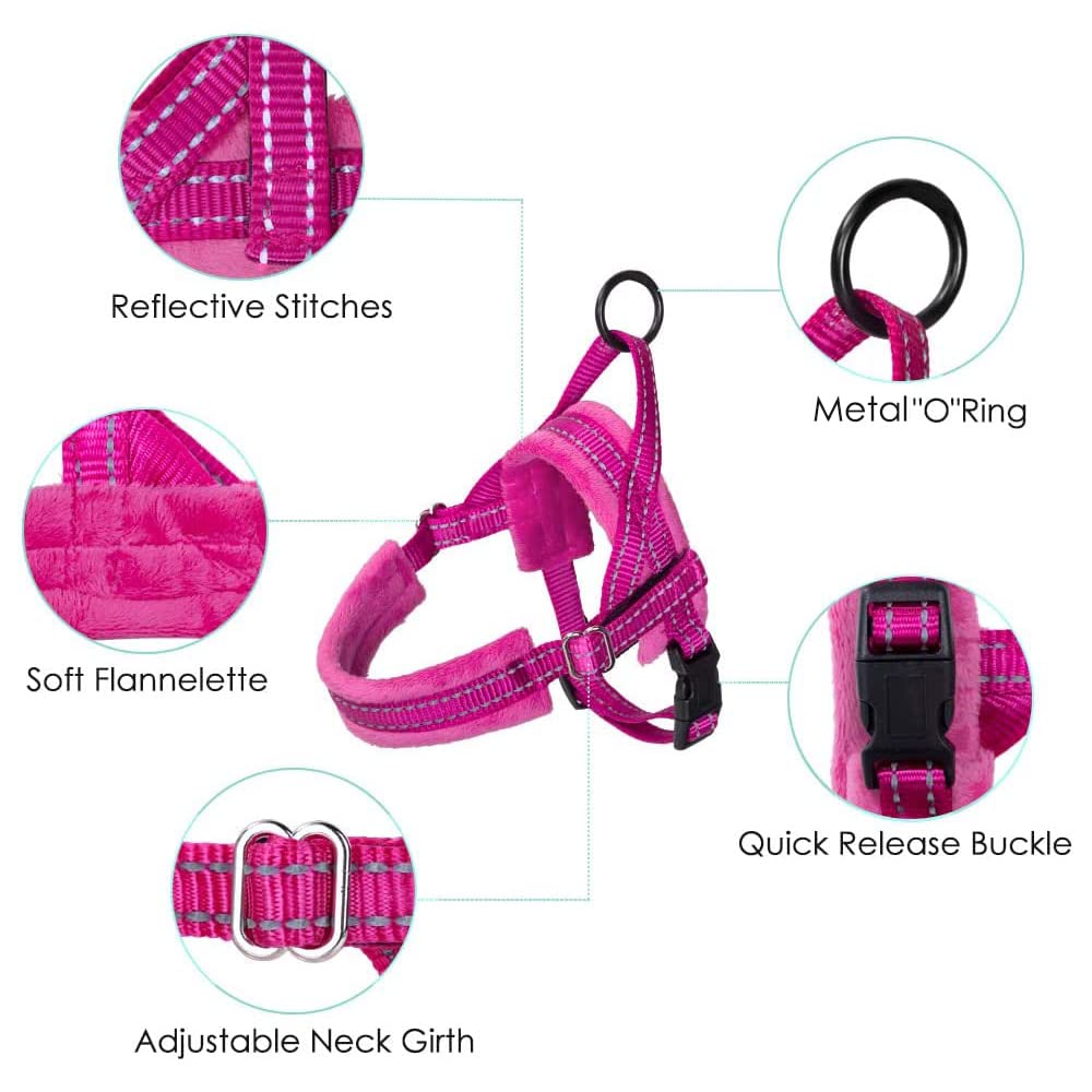 Slowton No Pull Small Dog Harness And Leash Set, Puppy Soft Vest Harness Neck & Chest Adjustable, Reflective Lightweight Harness & Anti-Twist Pet Lead Combo For Small Medium Dogs(Fu,M)