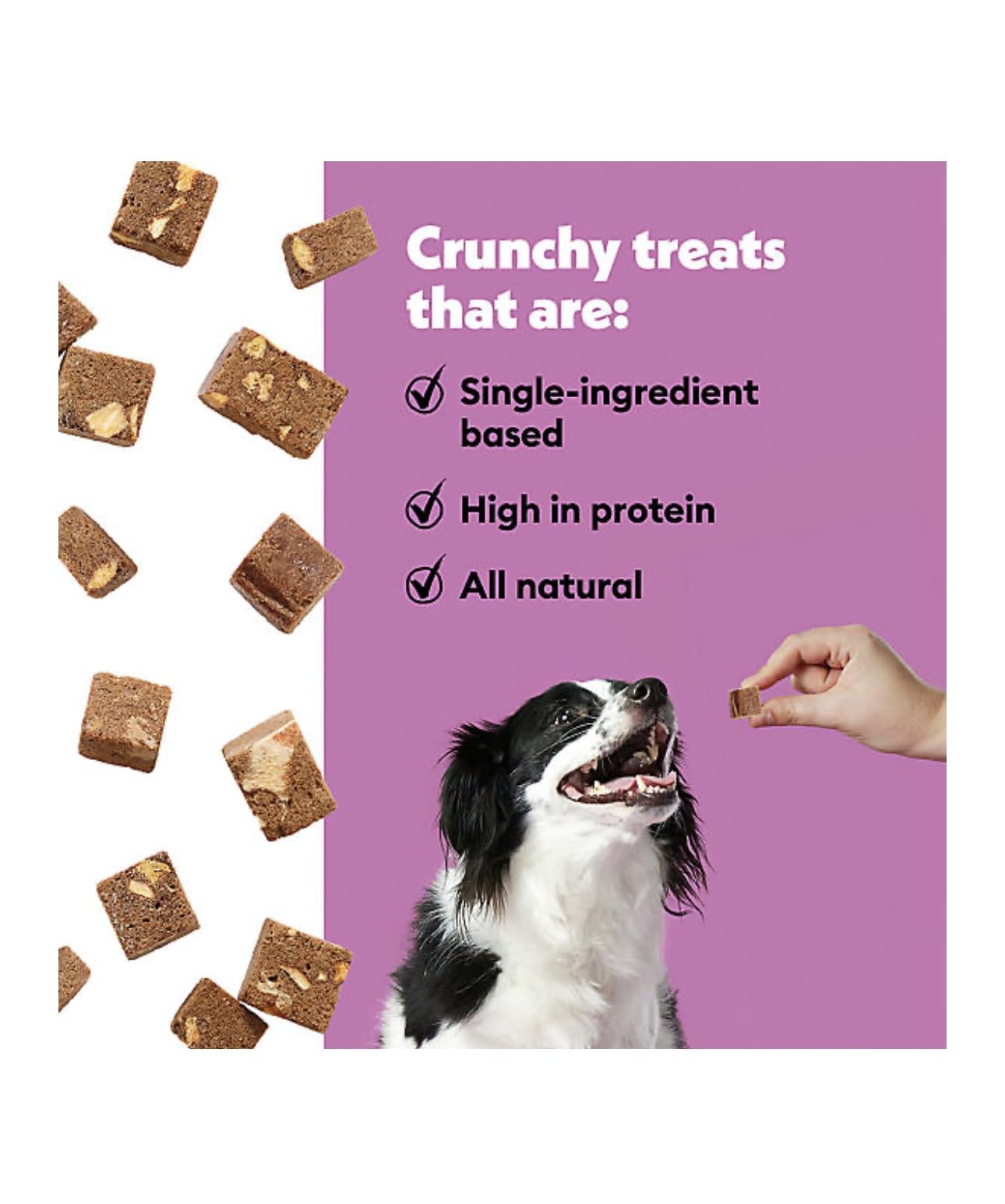 Wiggles & Wags Freeze Dried Beef Liver & Sweet Potato Dog Treats, 5 oz, with DN Essentials Bone Shaped Waste Bag Dispenser & Rol