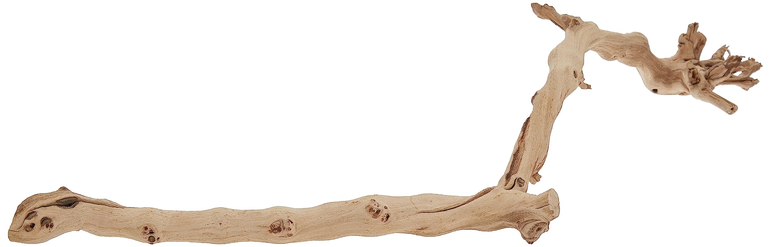 Exo Terra Forest Branch, Large