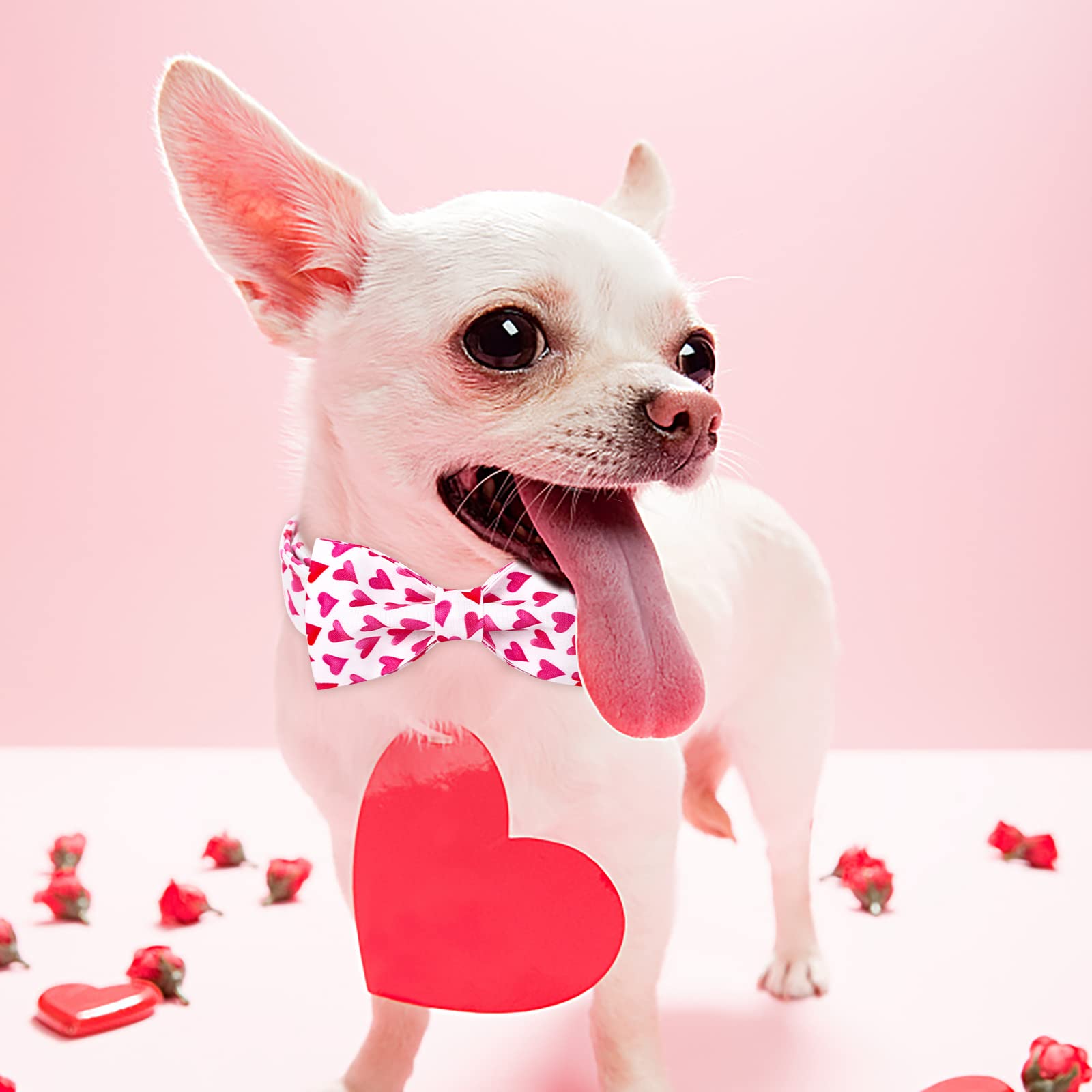 Babole Pet Valentine'S Day Dog Collar With Bow Tie, White Red Love Male Dog Collar With Safety Metal Buckle Adjustable Puppy Collars For Small Medium Large Boy & Girl Dog,S-Neck 10'-16'