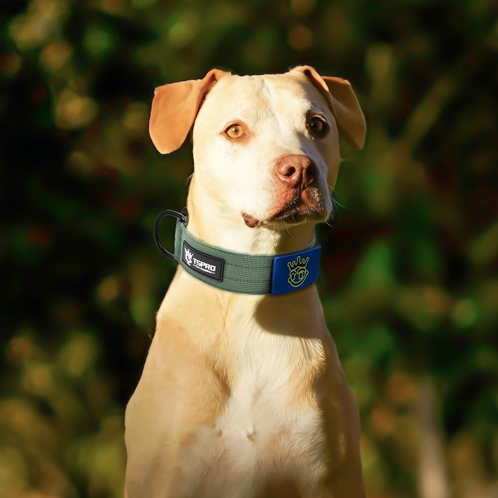 Tspro Dog Collar, Nylon Heavy Duty Quick-Release Adjustable Dog Collar With Magic Name Tape, Usa Flag Patch, D-Ring, For Small T