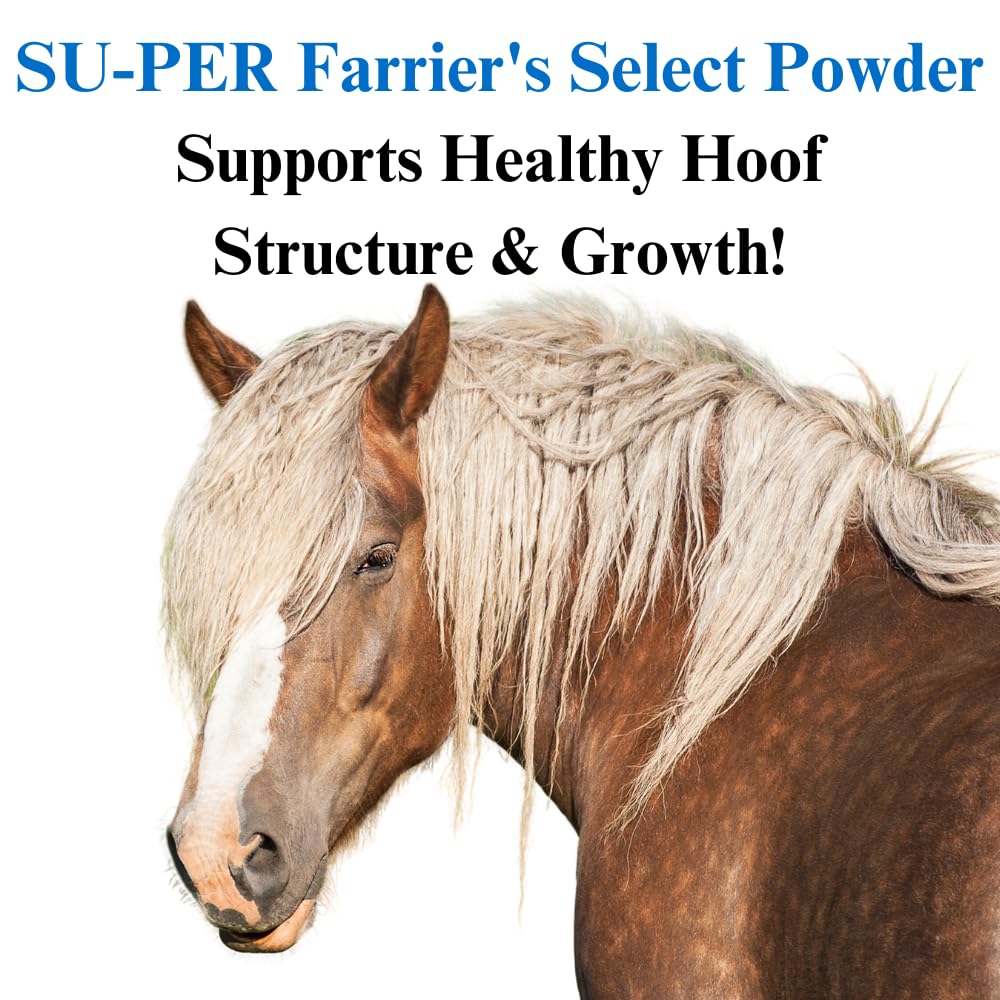 SU-PER Farriers Select Hoof Supplement - Horse Premium Hoof Care Supplement with Probiotics - Healthy Hoof Growth - 20 Pounds,