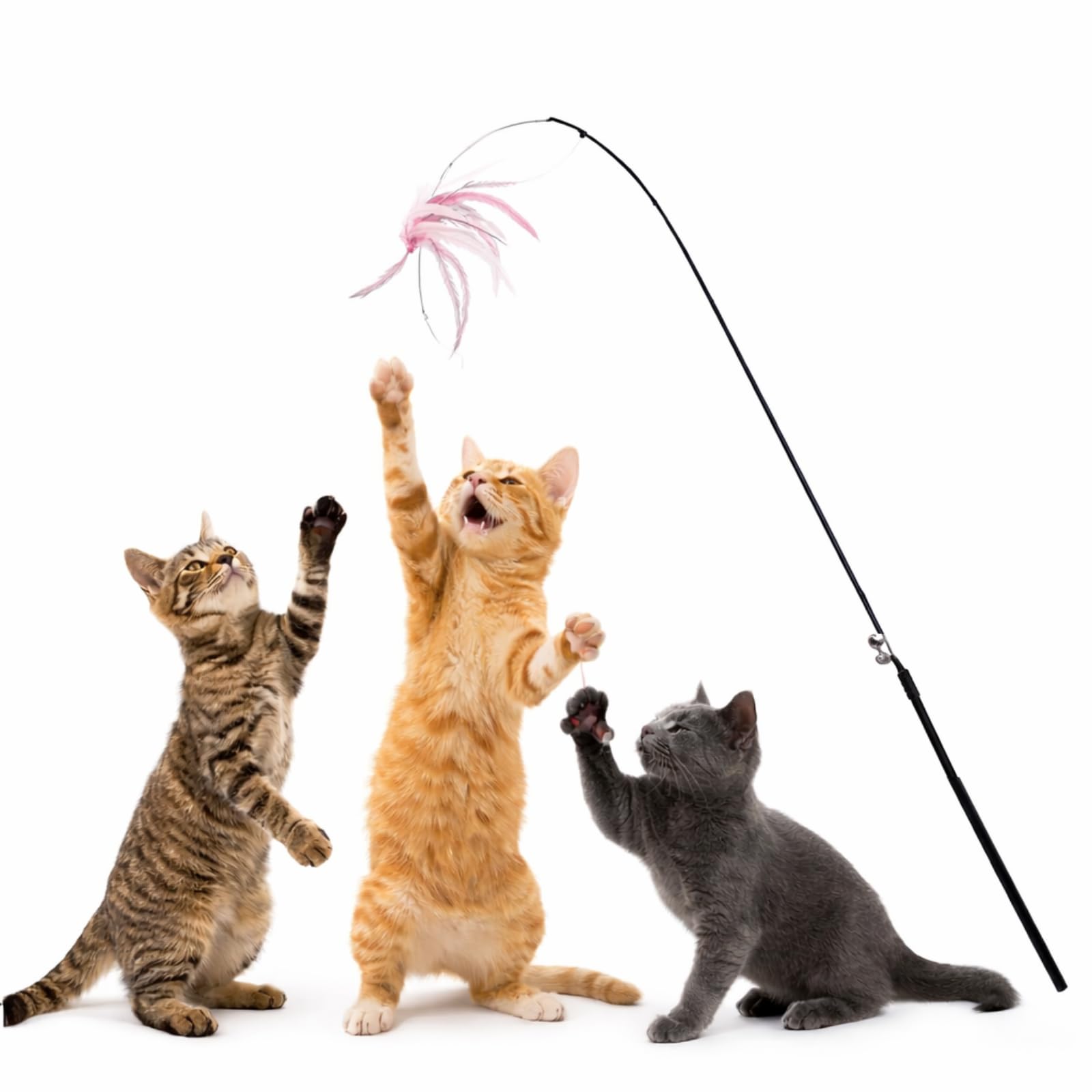 Bohobark 50Cm Long Cat Teaser Wand Toy With Interactive Feathers  Durable Engaging, Training & Playing Stick For Cats And Kitte