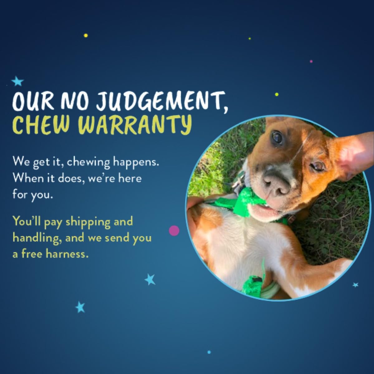 2 Hounds Design Freedom No Pull Dog Harness, Adjustable Harness And Leash Set, Easy Walking & Comfortable Control, Fits Small, Medium & Large Dogs, Solid Colors, Made In Usa, 5/8' Md, Teal