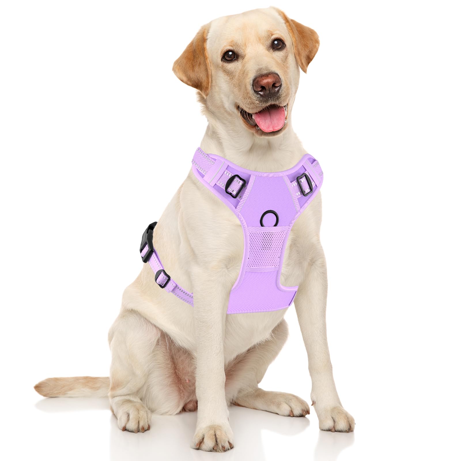 Rnivvi No Pull Dog Harness, Cute Reflective Medium Sized Puppy Kitten Harness, Adjustable Soft Padded Vest for Medium Dogs, Heav