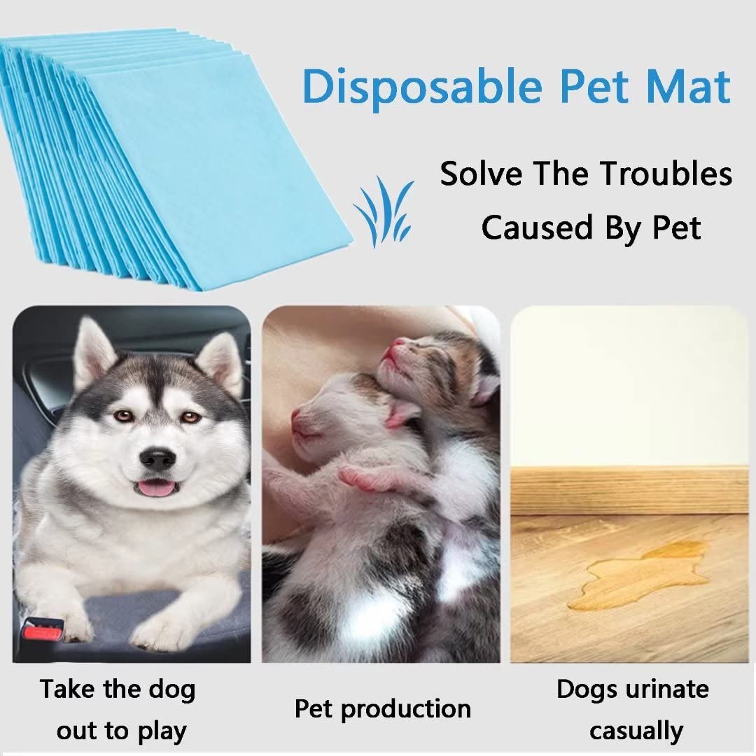 Extra Large Puppy Pads,36x36 Pee Pads for Dogs,60 Count Training Dog Pee Pads Absorbent & Leak-Proof &Quick Dry,Disposable Pet P