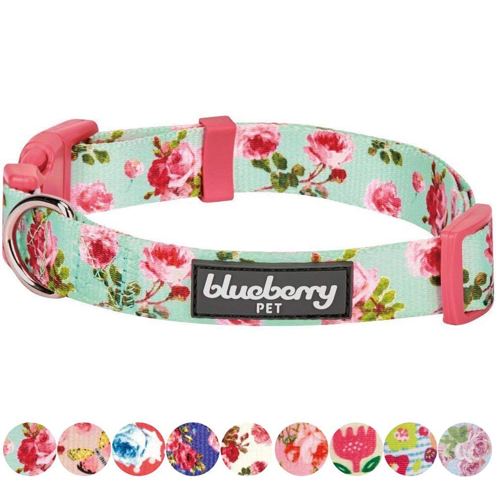 Blueberry Pet 7 Patterns Spring Scent Inspired Floral Rose Print Turquoise Adjustable Dog Collar, Small, Neck 12'-16'