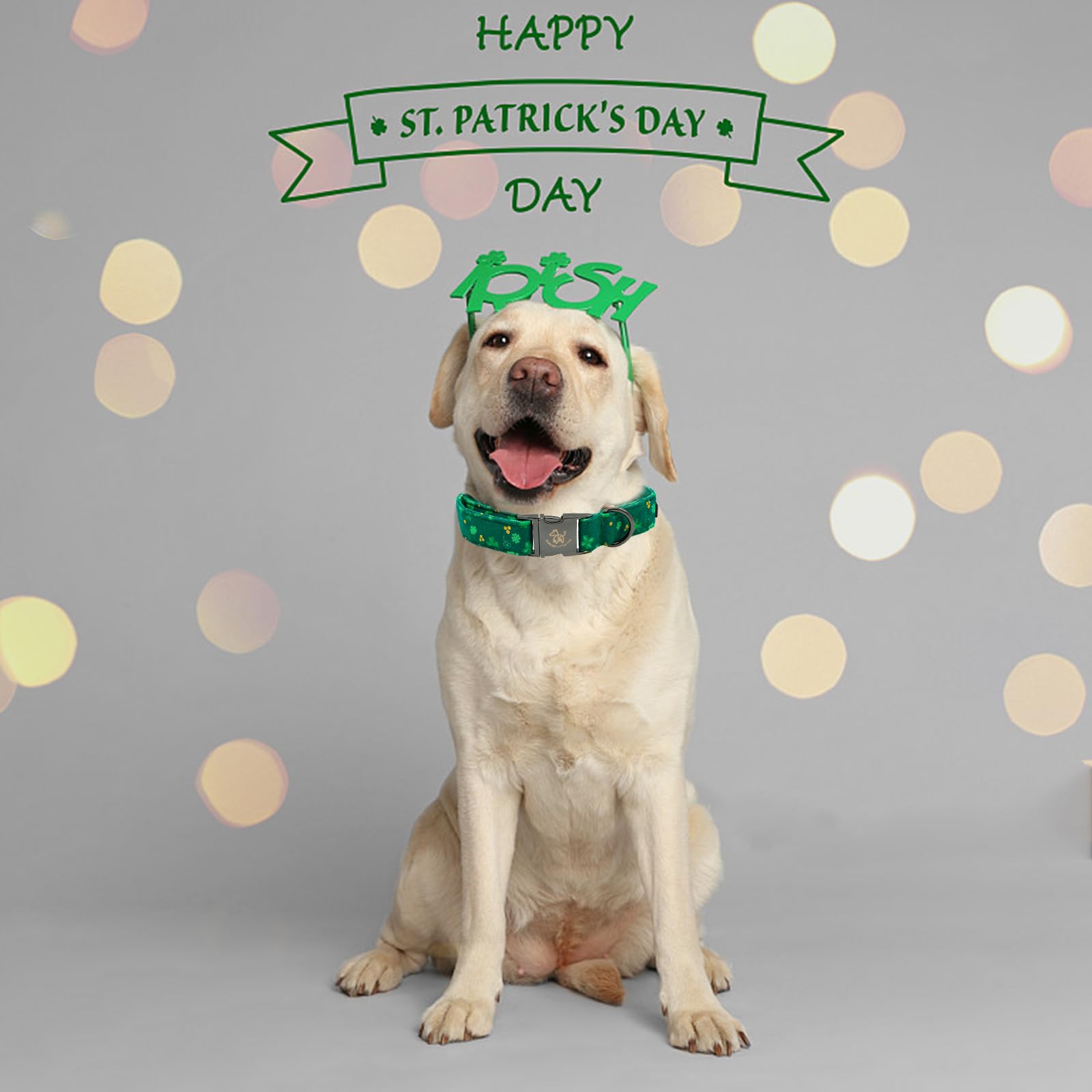 Elegant Cute Puppy Dog Collar, St Patrick's Day Green Clover Collar for Medium Dogs
