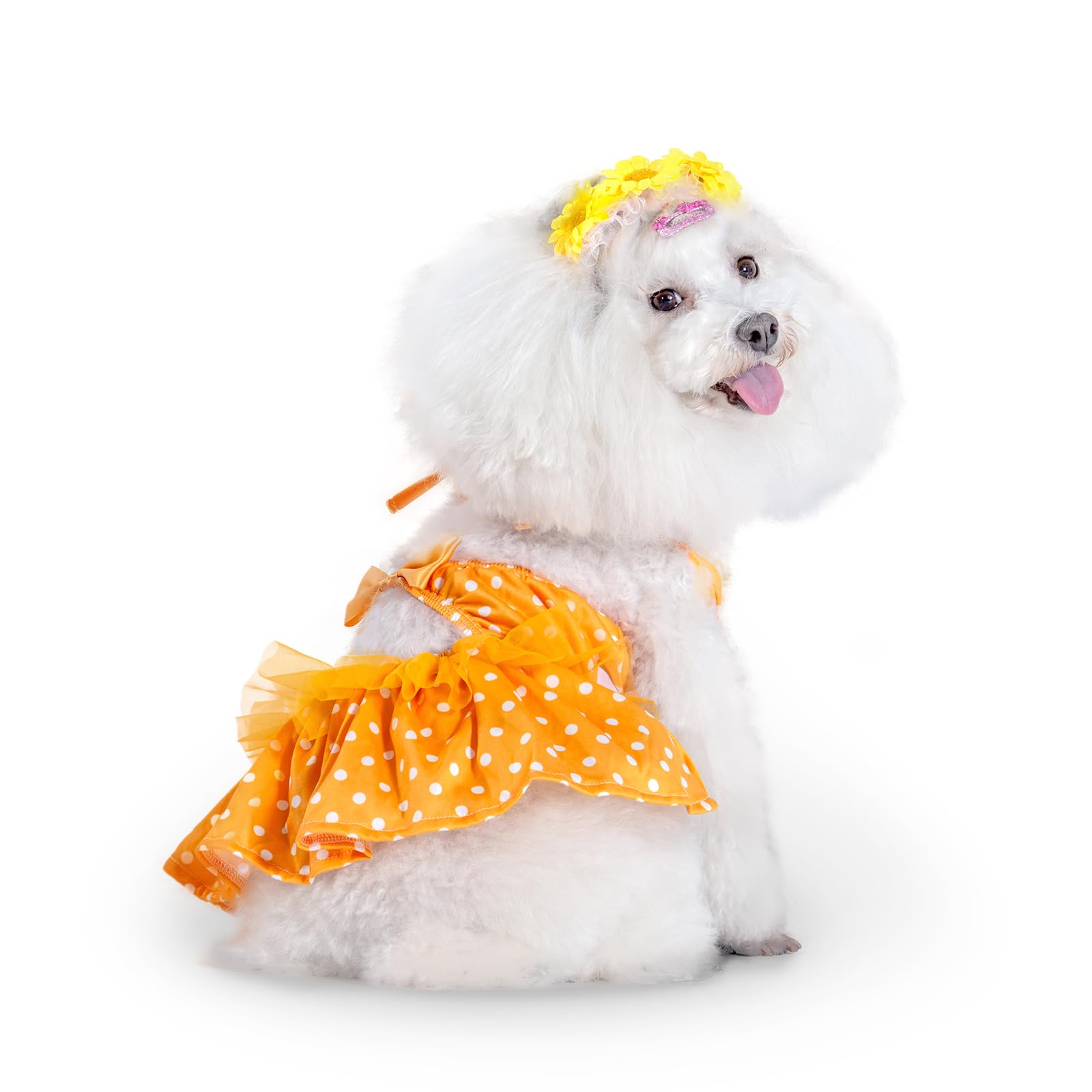 Cutebone One Piece Dog Bikini Swimsuit Dress - Puppy Bathing Suit Costume For Small Dogs - Comfortable & Stylish Pet Clothes For