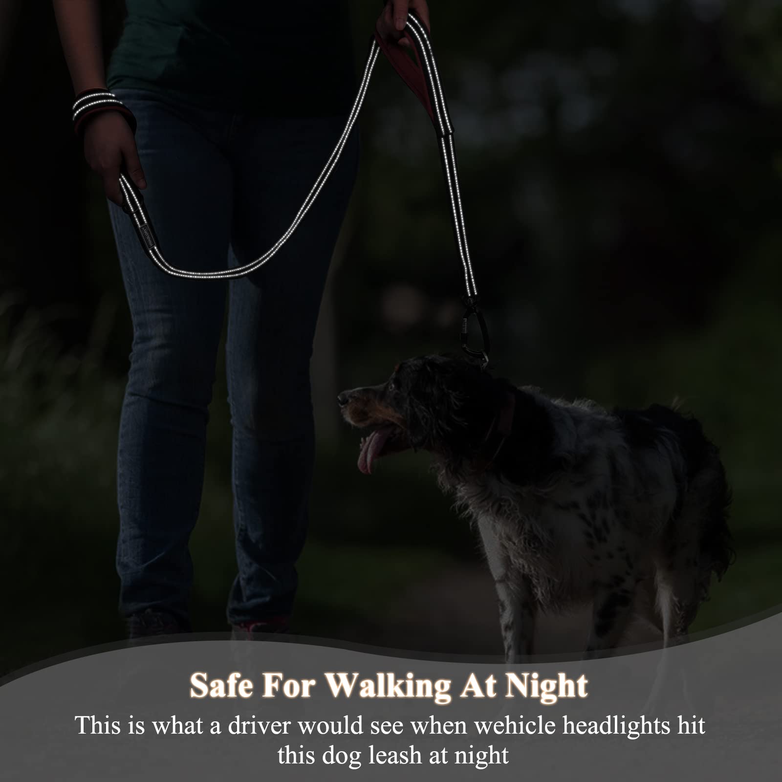 Vivaglory Dog Leash With Lightweight Aluminum Clasp & 2 Padded Handles, 4Ft Nylon Dog Leash Lead Heavy Duty Safety No Pull Climbing Climbers Carabiner Clip Training Leash For Medium Large Dogs Pink