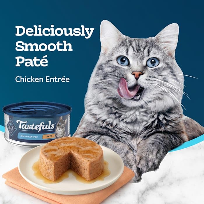 Blue Buffalo Tastefuls Flaked Chicken Pate Natural Wet Food for Adult Cats, 5.5 oz., Case of 12