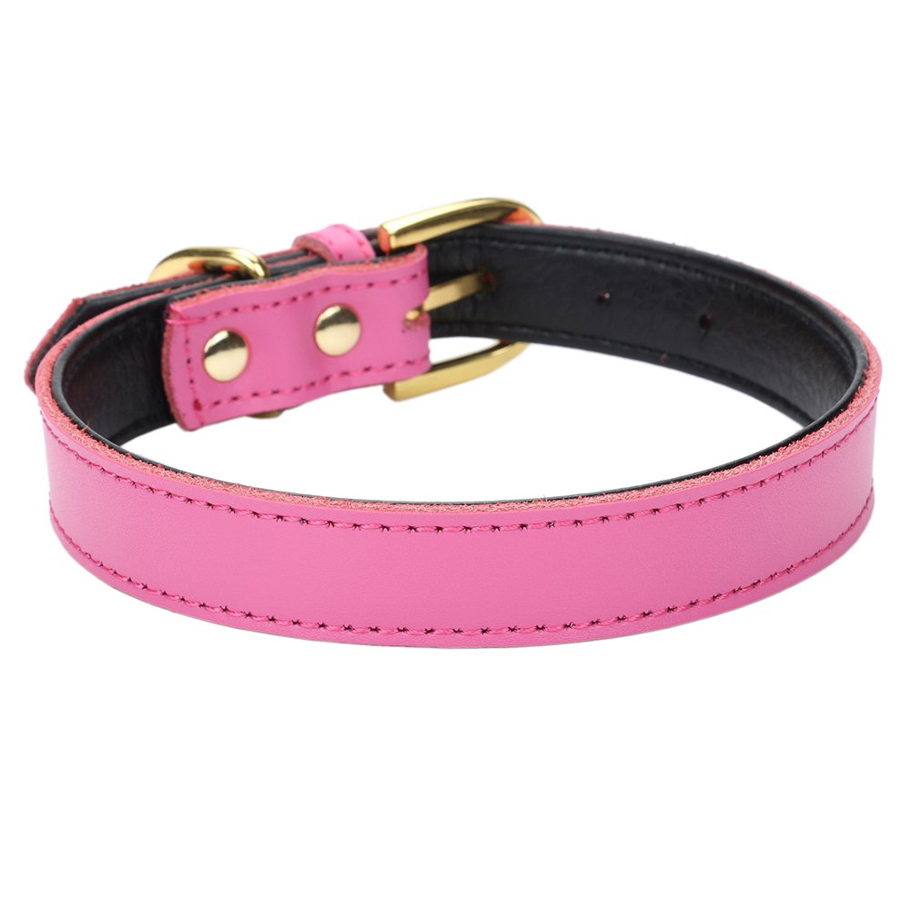 Aolove Basic Classic Padded Leather Pet Collars For Cats Puppy Small Medium Dogs (Medium (Neck 11.5'-15'), Rose Red)