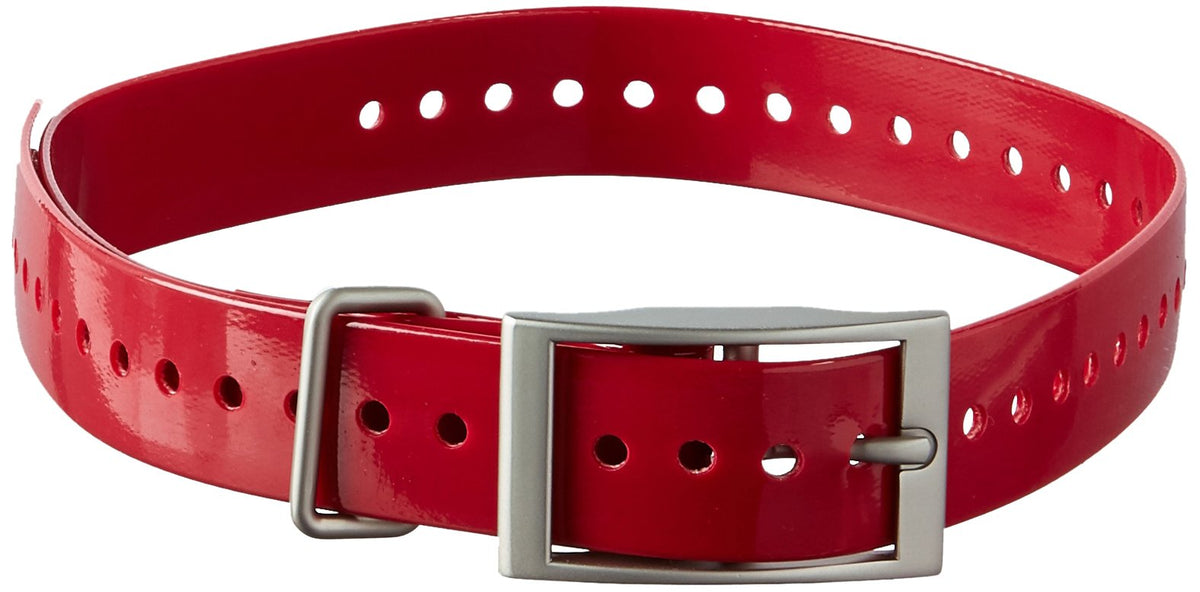 Garmin 1-Inch Dog Collar, Red