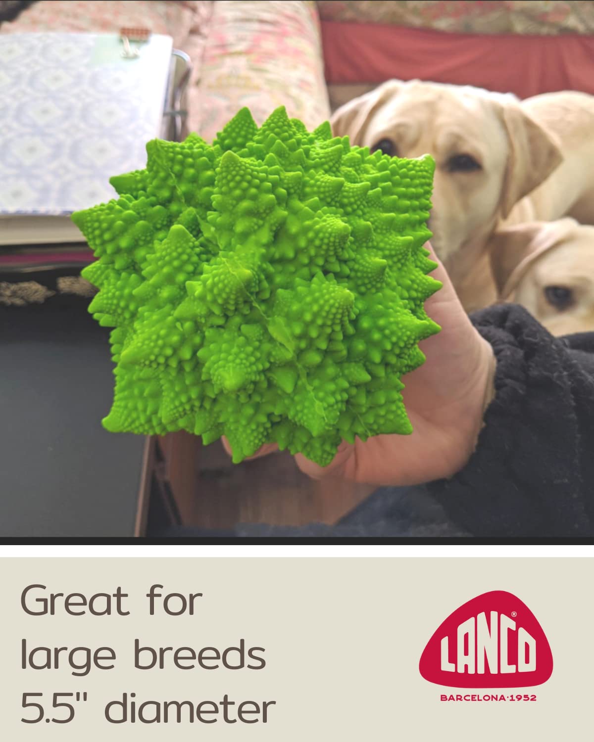 Xl Squeaky Dog Toy - Large And Medium Dogs - Sensory Nubby Dog Toy Broccoli - Natural Rubber (Latex) - Free From Harmful Chemicals (Green) -Like New