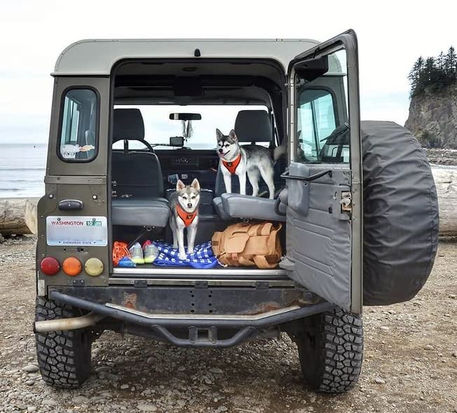 Classic Dog Harness Innovative Mesh No Pull No Choke Design Soft Double Padded Breathable Vest For Eco-Friendly Easy Control Walking Quick Release For Puppies Toy Breeds & Small Dogs (Small, Orange)