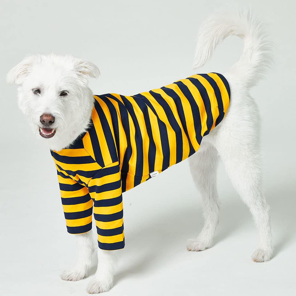 Lucky Petter Dog Cotton Shirts For Small And Large Dogs Rugby Striped T-Shirts Soft Breathable Dog Shirt Pet Clothes (X-Large, Y