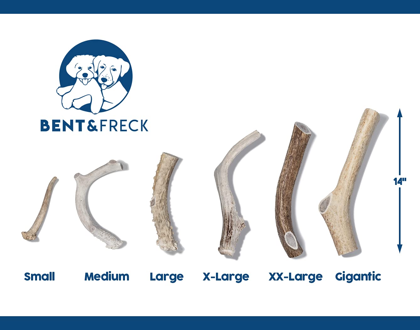 Antler Dog Chew From Pet Expertise, Gigantic 12-14'' Long, 1 Piece