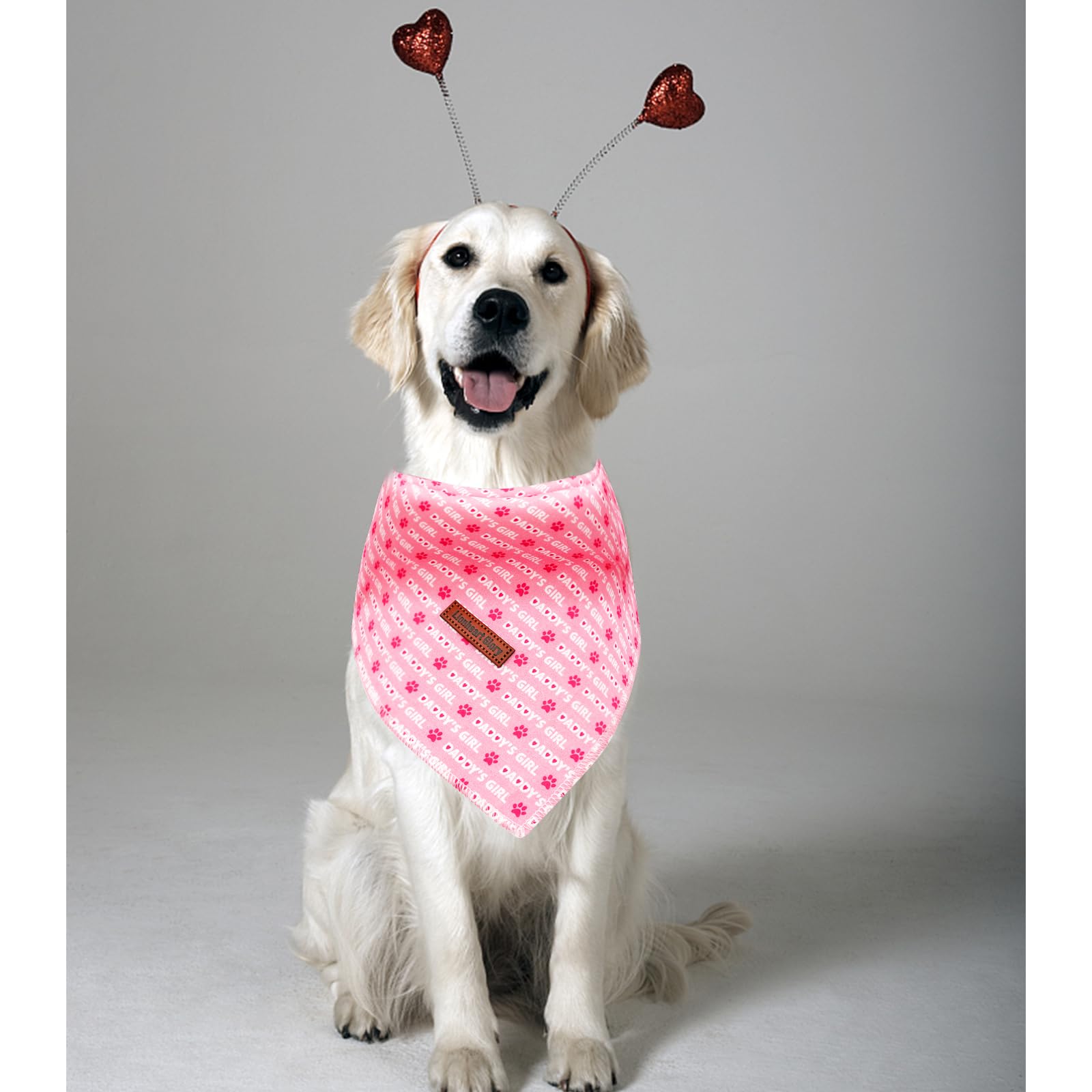 Lionheart Glory Valentine Dog & Cat Scarf, Square Adjustable Bandanas, Soft Washable, 1 Pack