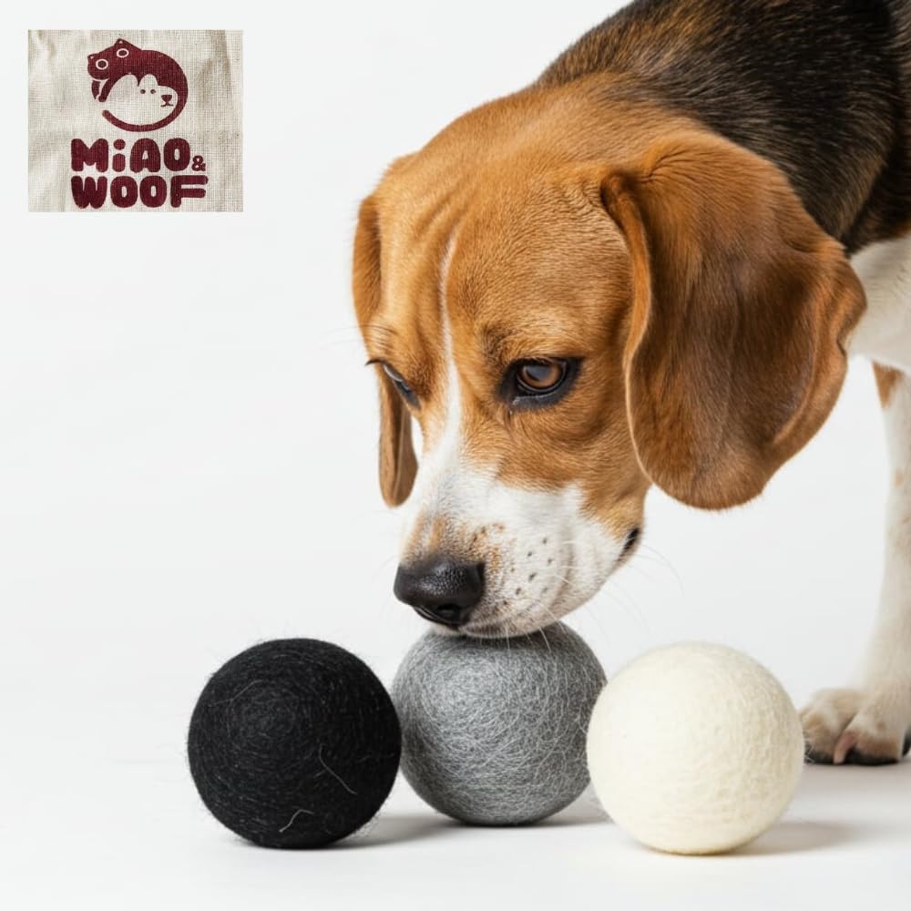 Miao and Woof 3-Piece 100% Pure Wool Dog Balls, Soft, Durable, Wool Felt Toy for Dogs & Puppies, Chew-Resistant, Perfect for Exe