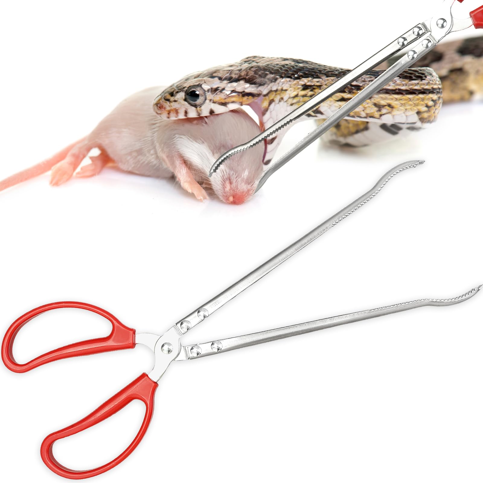 Fwunyvn Reptile Feeding Tongs,Bent-Billed Snake Feeding Tongs Non-Skidding Easy-Grip Tweezers,Long Large Tweezers Python Accesso