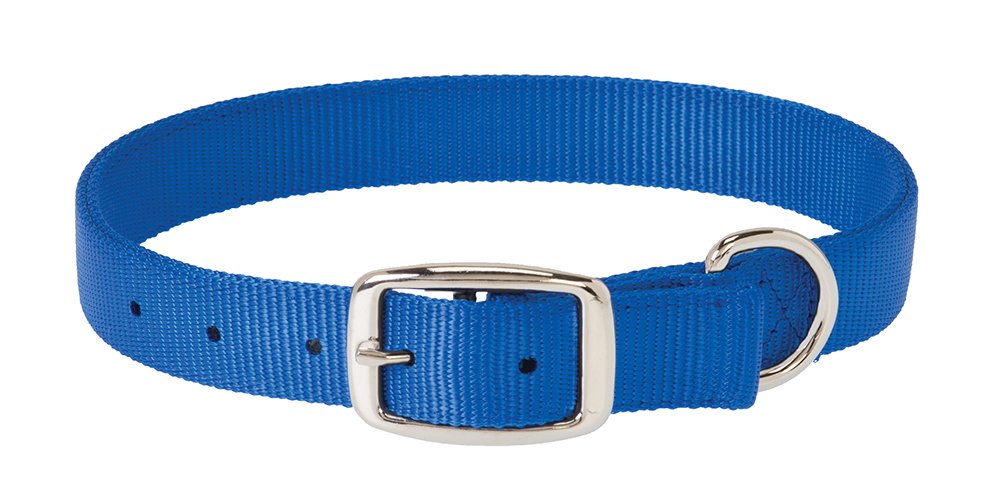 Weaver Leather Prism Classic Collar, 1 X 19-Inch, Blue