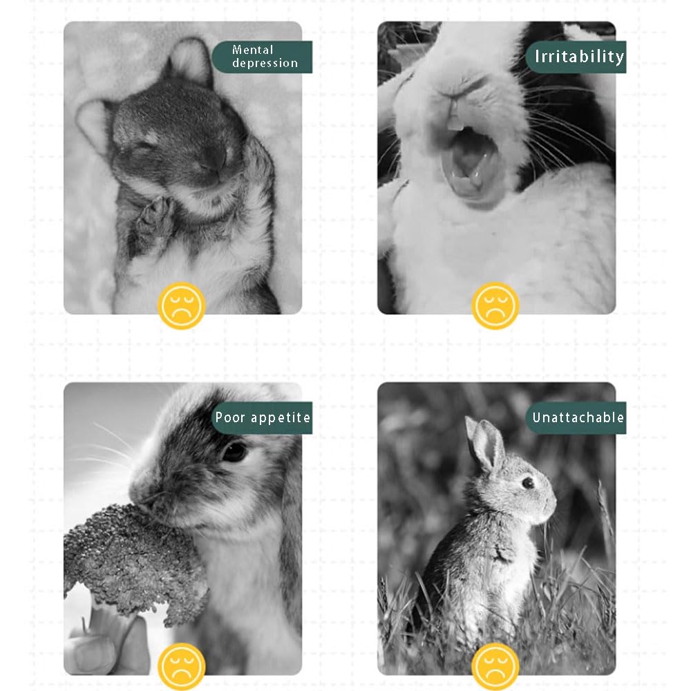 Dbeans Flourithing Rabbit Toys 30Pcs 3 Flavours For Teeth Grinding - Chew Toys For Hamsters, Guinea Pigs, Chinchillas