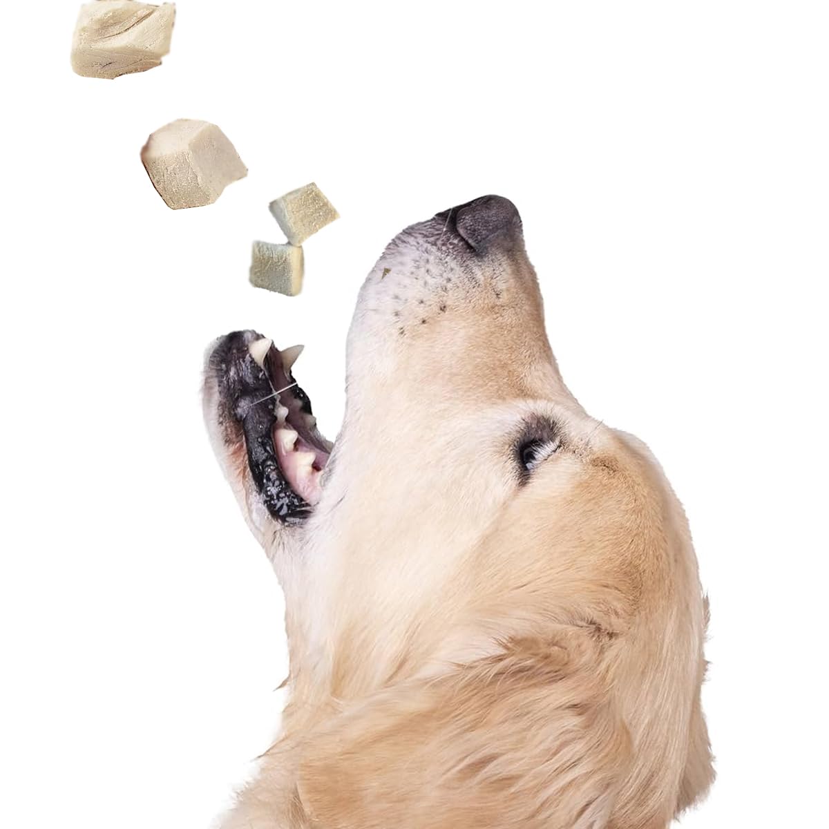 DurbaLife Freeze Dried Dog and Cat Treats Food Topper (5.1 oz (~145g), Just Chicken (Large Pack))