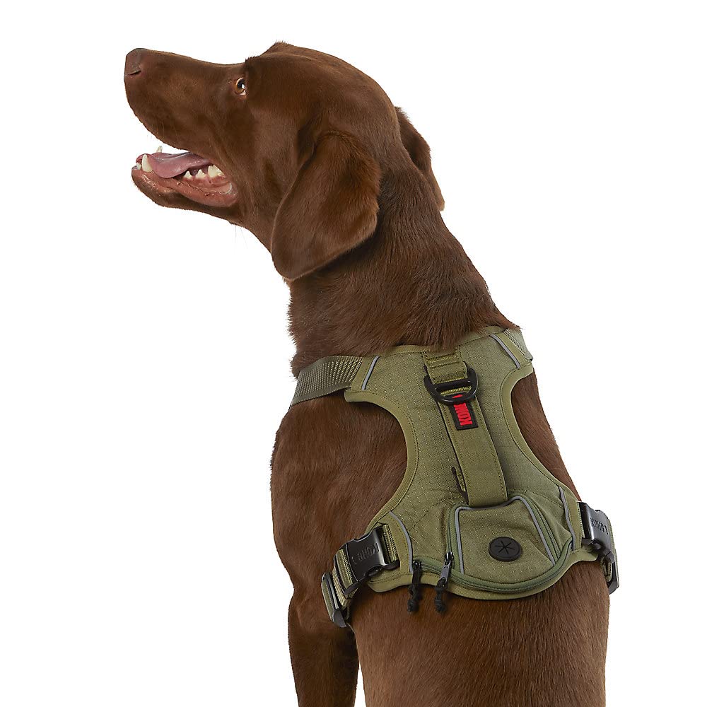 KONG Ultra Durable Waste Bag Harness (Medium, Green)