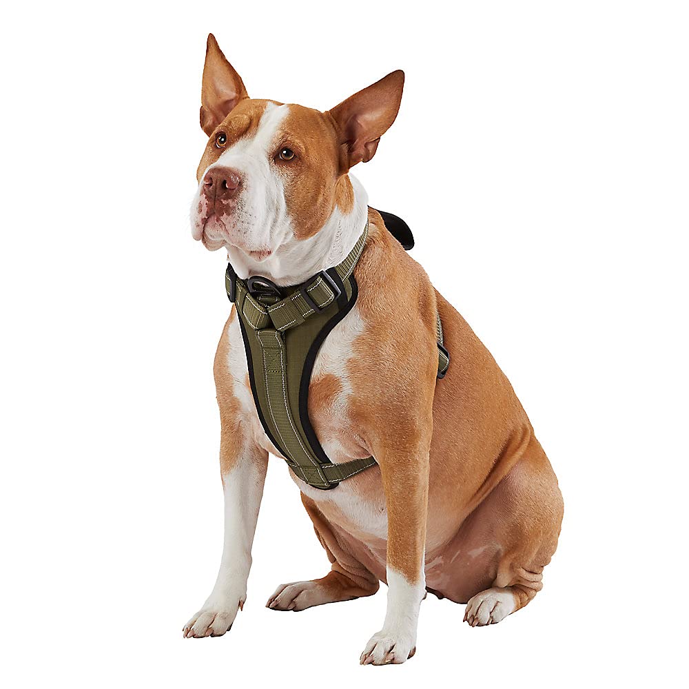 Kong Max Ultra Durable Neoprene Padded Chest Plate Dog Harness Offered By The Barker Company (Green, Small)