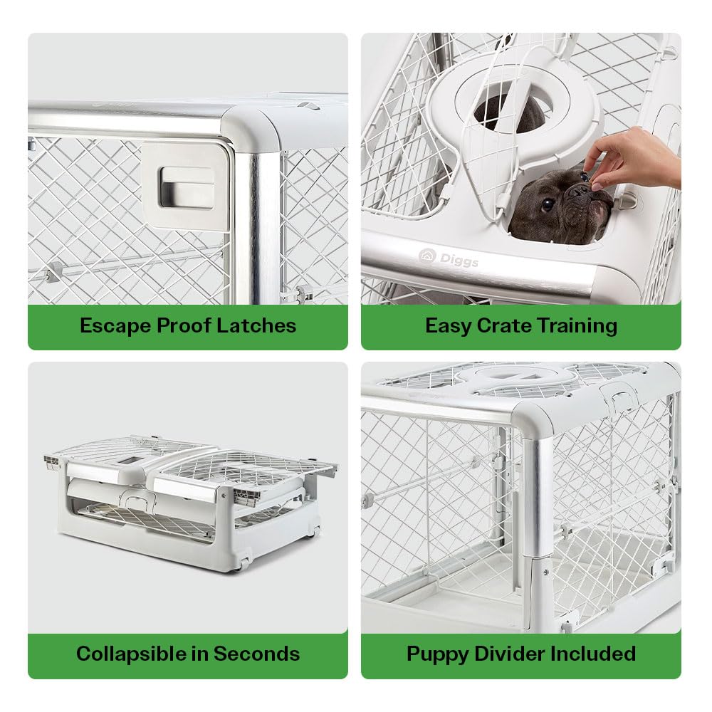 Diggs Revol Collapsible Dog Crate With Wheels - Premium Portable Dog Crate - Safe, Stylish, And Convenient Indoor Kennel (Ash, S