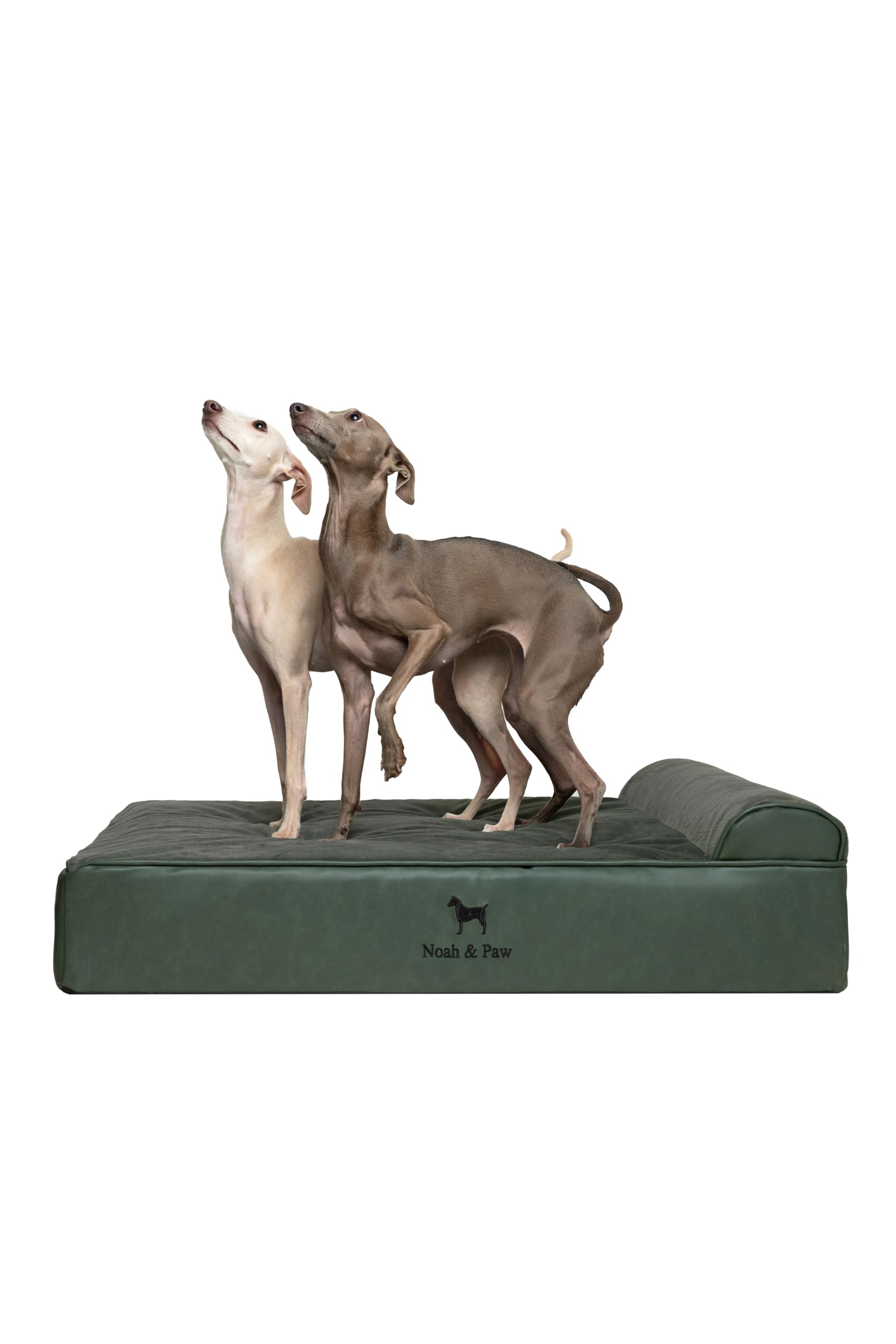NOAH & PAW Large Dog Bed, 35x25x11 Inch, Orthopedic Dog Beds, Eggshell Memory Foam Infused with Cooling Gel, Waterproof, Machine