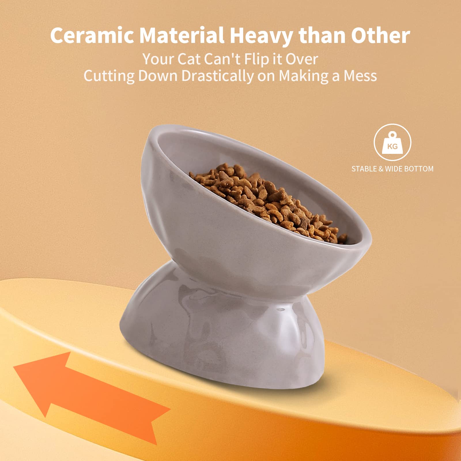 OMAYKEY Ceramic Raised Cat Bowls, Tilted Elevated Cat Food and Water Bowl Set, Porcelain Stress Free Pet Feeder Dish for Cats an