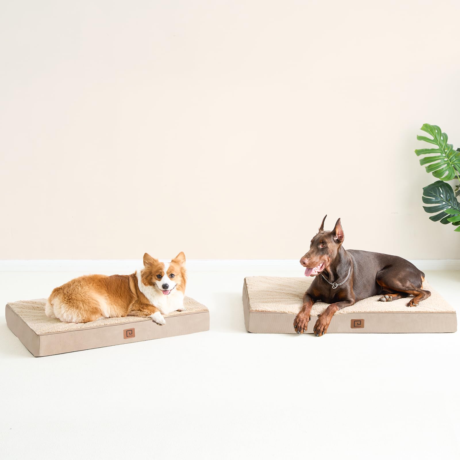 Eheyciga Orthopedic Xl Dog Beds For Extra Large Dogs With Removable Washable Cover For Crate, Khaki, 41X27