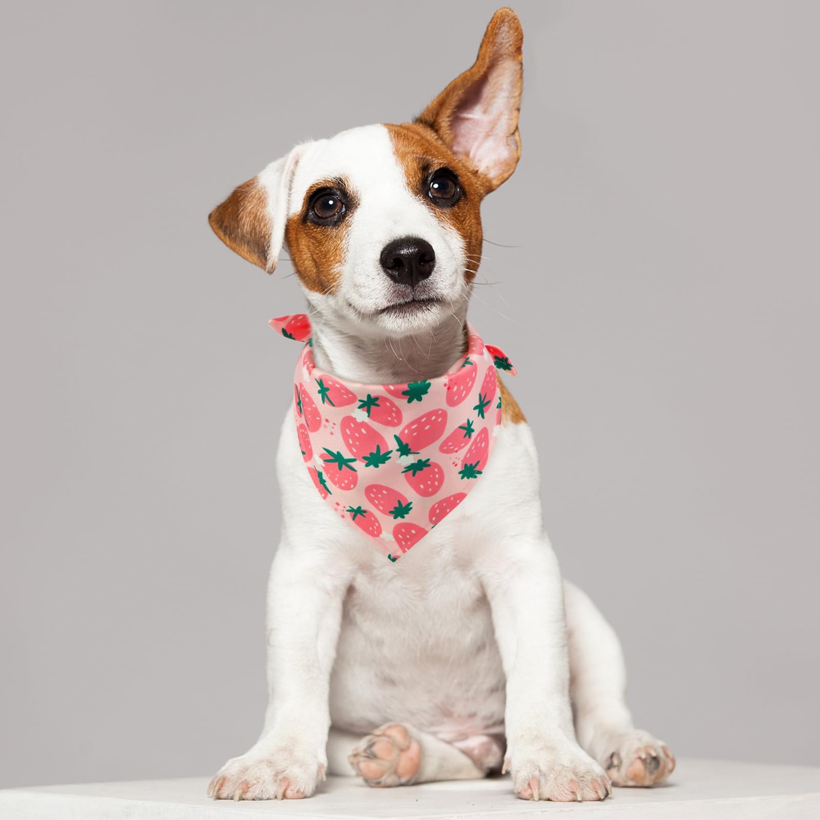 Kuoser Dog Bandanas, Triangle Reversible Fruit Print Pet Bandanas For Boy And Girl, All Seasons Bandana For Small Medium And Lar