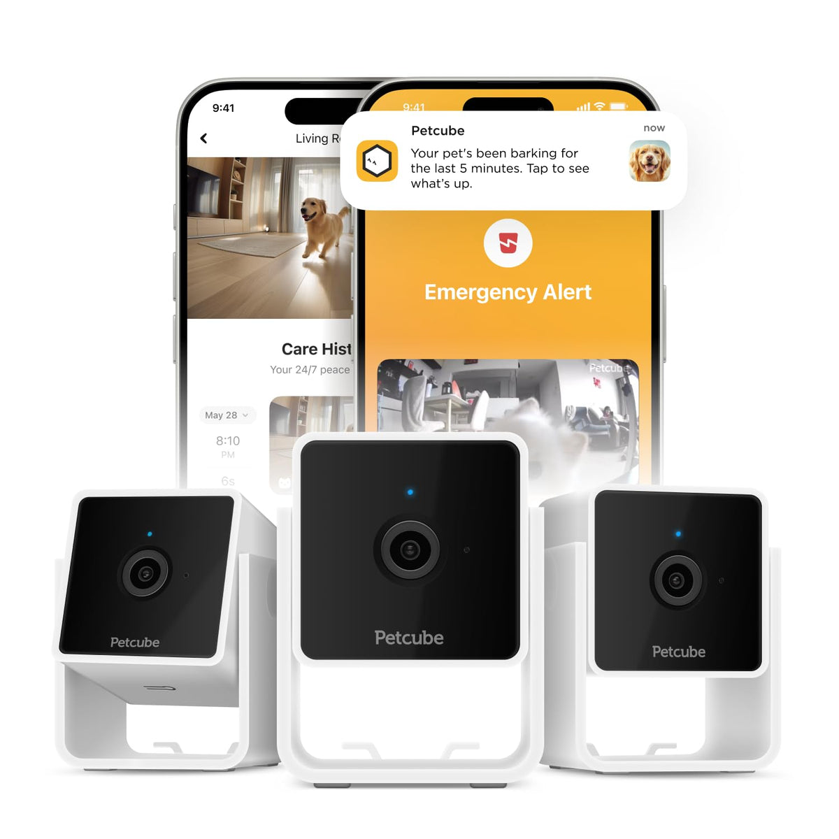 Petcube Cam The Pack Of 3 | Indoor Wi-Fi Pet Security Camera With Phone App, 2-Way Audio And Video, Night Vision, 1080P Hd Video