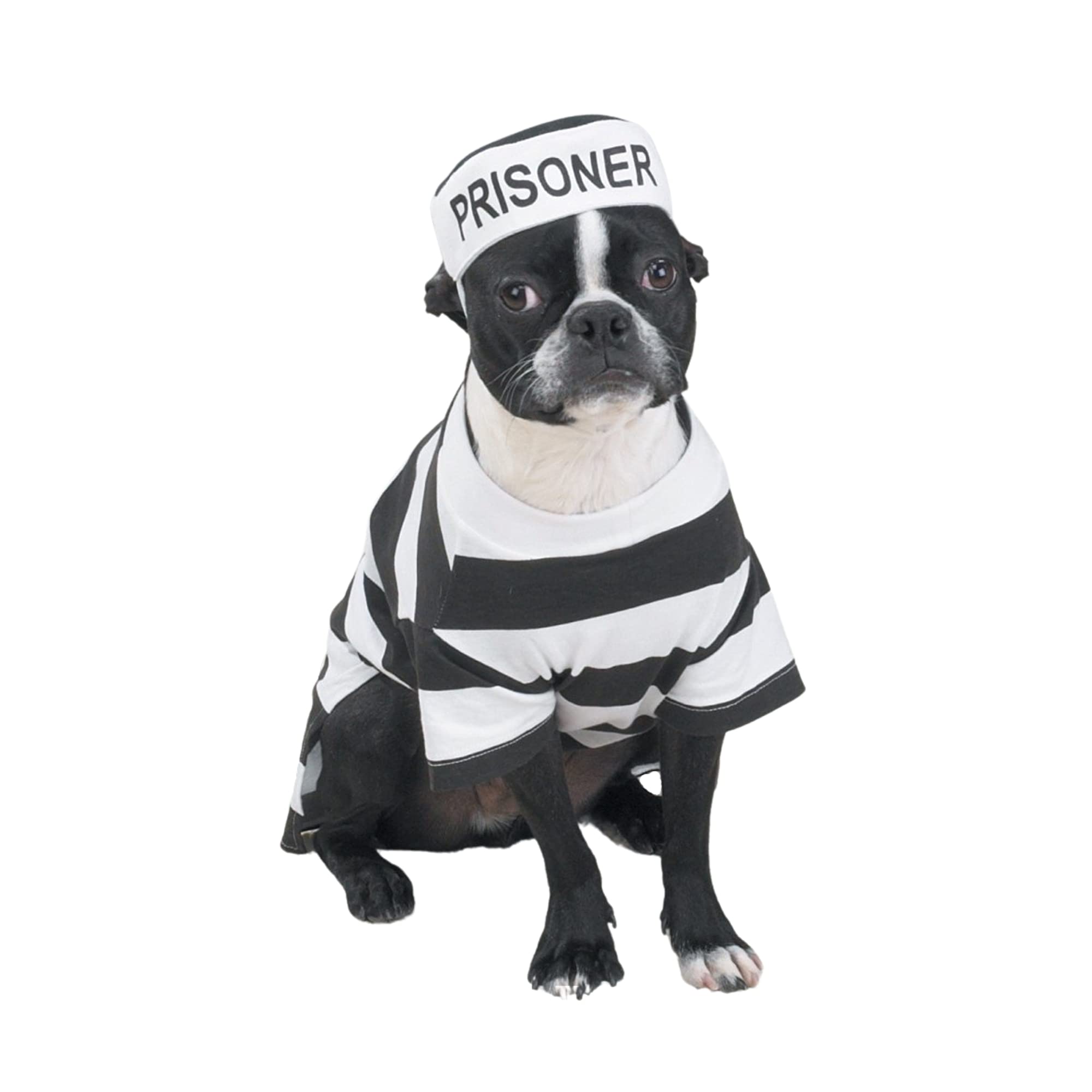 Casual Canine Prison Pooch Costume, XX-Large
