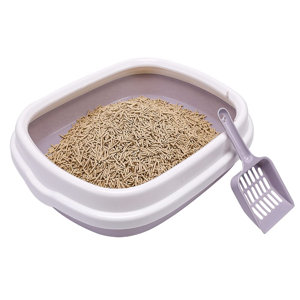 Cat Open Top Litter Box With Lid, Cat Litter Mat, Poop Lifter Scoop & Kitten Kitty Stainless Steel Feeding Dish Bowl, Cat Starter Kit 4 Pack For Small Cat Within 5 Months (Grey-Four Entries)