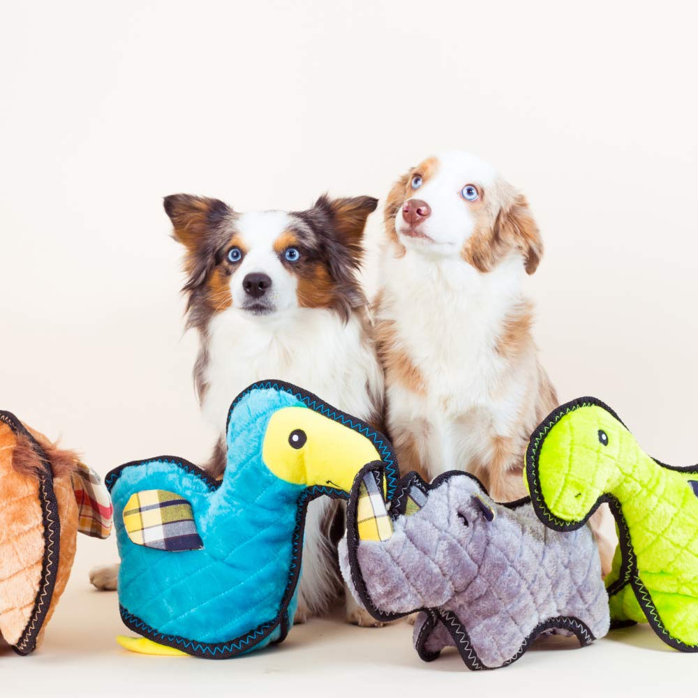 Zippy Paws - Z-Stitch Grunterz Durable Stuffed Squeaky Dog Toy - Dodo The Dodo Bird