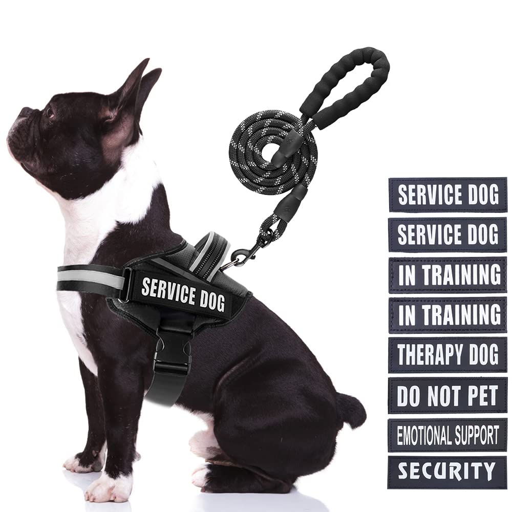 Service Dog Vest Harness And Leash Set, Animire In Training Dog Harness With 8 Dog Patches, Reflective Dog Leash With Soft Padded Handle For Small, Medium, Large, And Extra-Large Dogs (Black,M)
