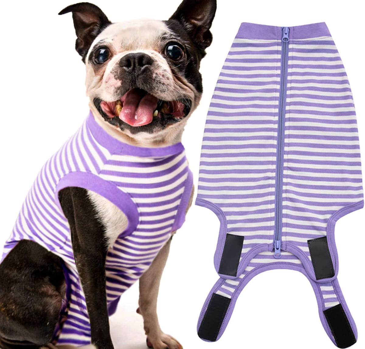 Sychien Dog Recovery Suit Female Spay Male Surgery Recovery Large Shirt,Soft Combed Cotton Surgical Puppy Suit,L Purple-White St