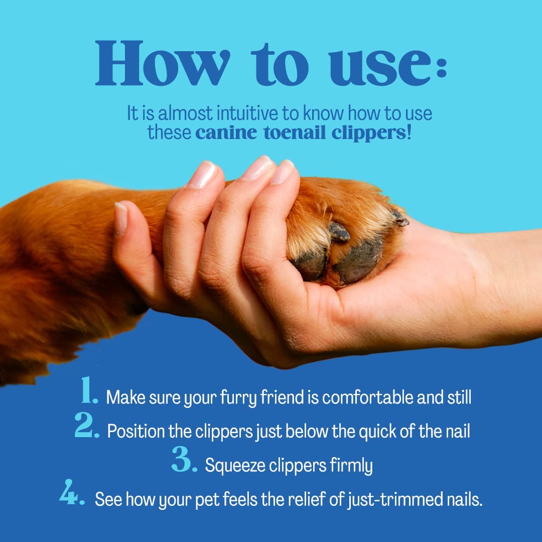 Dog Nail Clippers For Large Dogs - Sharp Dog Nail Clipper With Quick Sensor - Large Dog Nail Clippers For Thick Nails - Nail Clippers For Dogs - Dog Nail Trimmer - Dog Nail Trimmers Large Breed