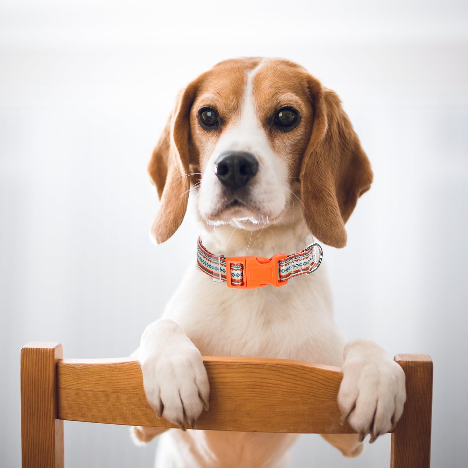 Dog Collar For Puppy Small Dogs, Orange Dog Collar With Tribal Ethnic Aztec Patterns, Adjustable Safety Nylon Dog Collars Buckle