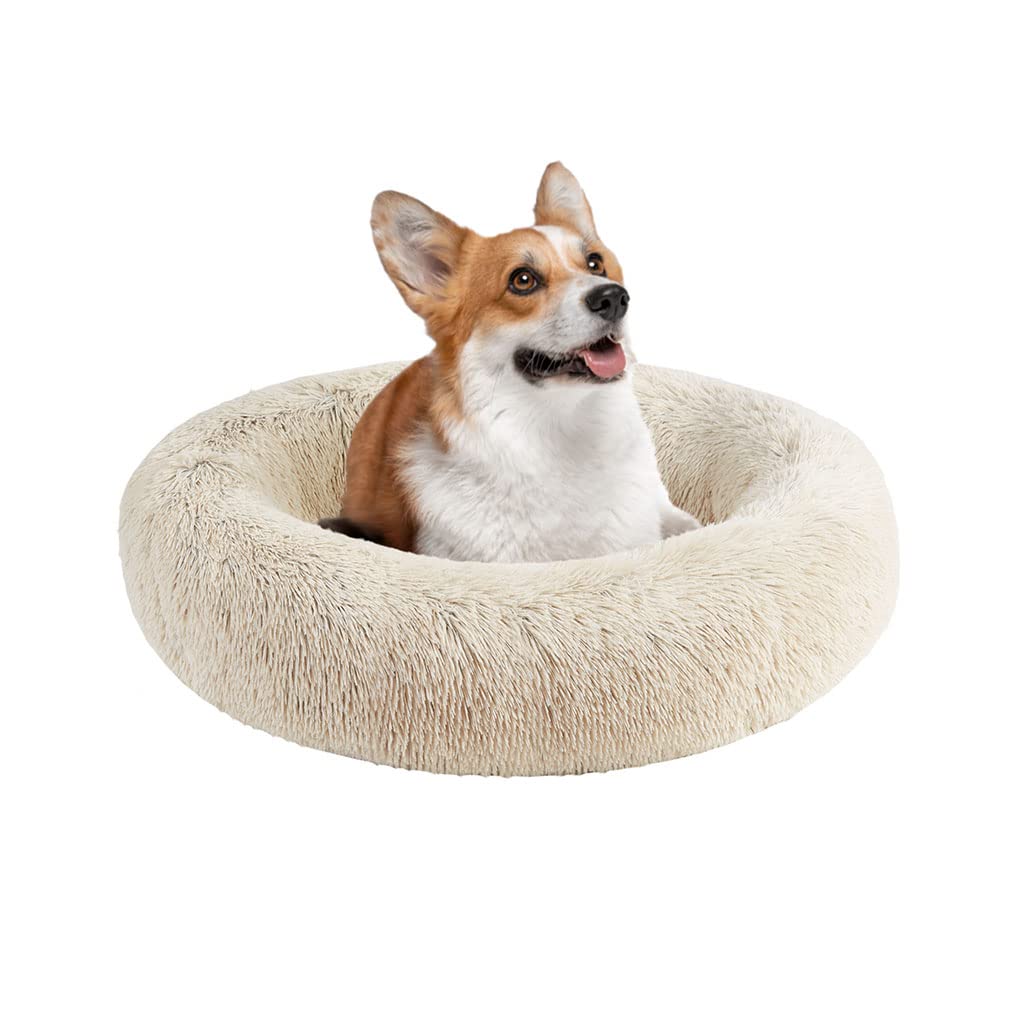 Friends Forever Calming Dog Bed for Medium Dogs, Donut Medium Pet Bed, 30 Inches Memory Foam Orthopedic Dog Bed with Fluffy Plus