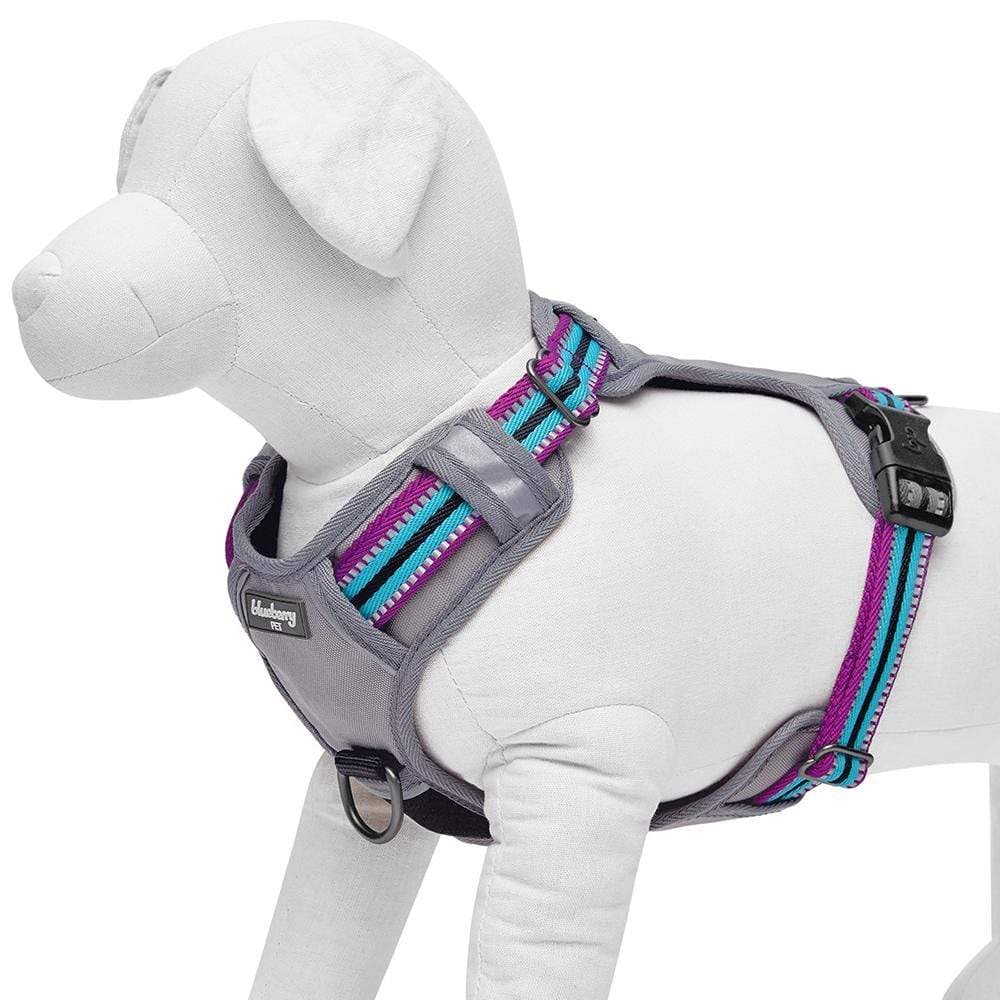 Blueberry Pet Soft & Comfy 3M Reflective Dog Harness Vest | Mesh Padded No Pull Dog Harness W/Front/Back Clips | Multi-Colored Stripe - Violet And River Blue | Reflective Dog Harness For Large Dogs